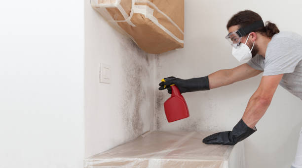 Professional Crawl Space Mold Removal technician working in Marshall, MN